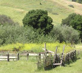 Lynch Canyon Open Space